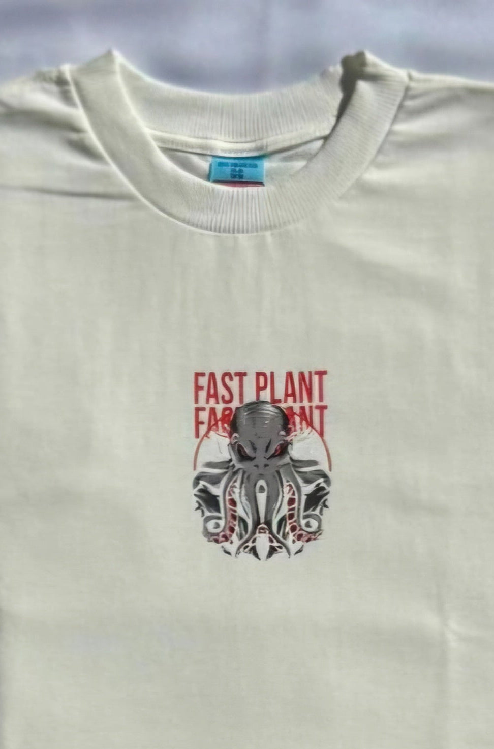 Camiseta oversized Premium Fast Plant Polvo